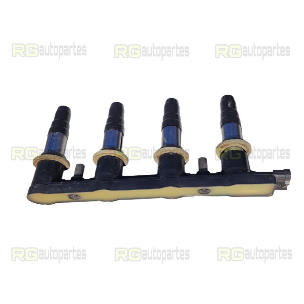 cuerpo bobinas motor f18